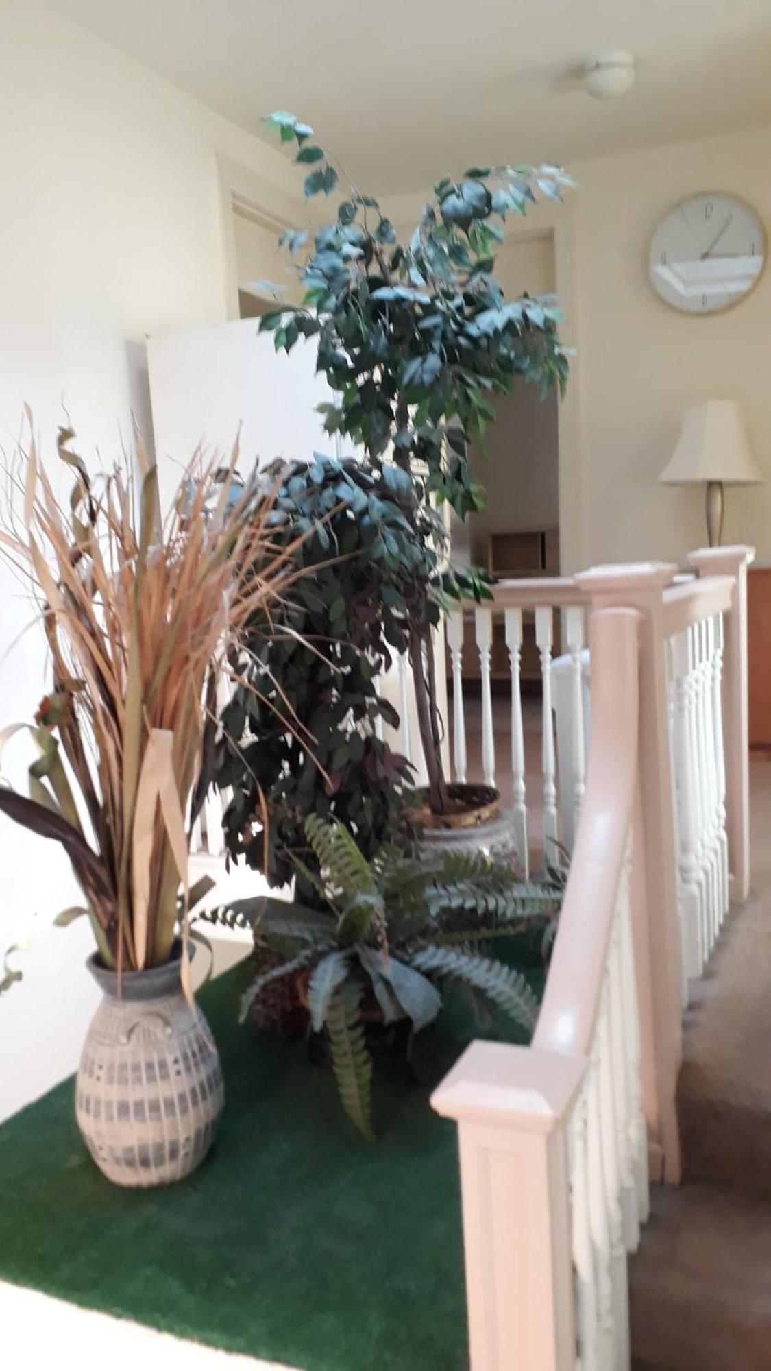 Pleasant Rooming House Washington Bagian luar foto